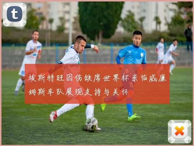 埃斯特旺因伤缺席世界杯亲临威廉姆斯车队展现支持与关怀