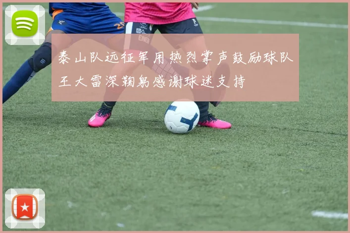 泰山队远征军用热烈掌声鼓励球队王大雷深鞠躬感谢球迷支持